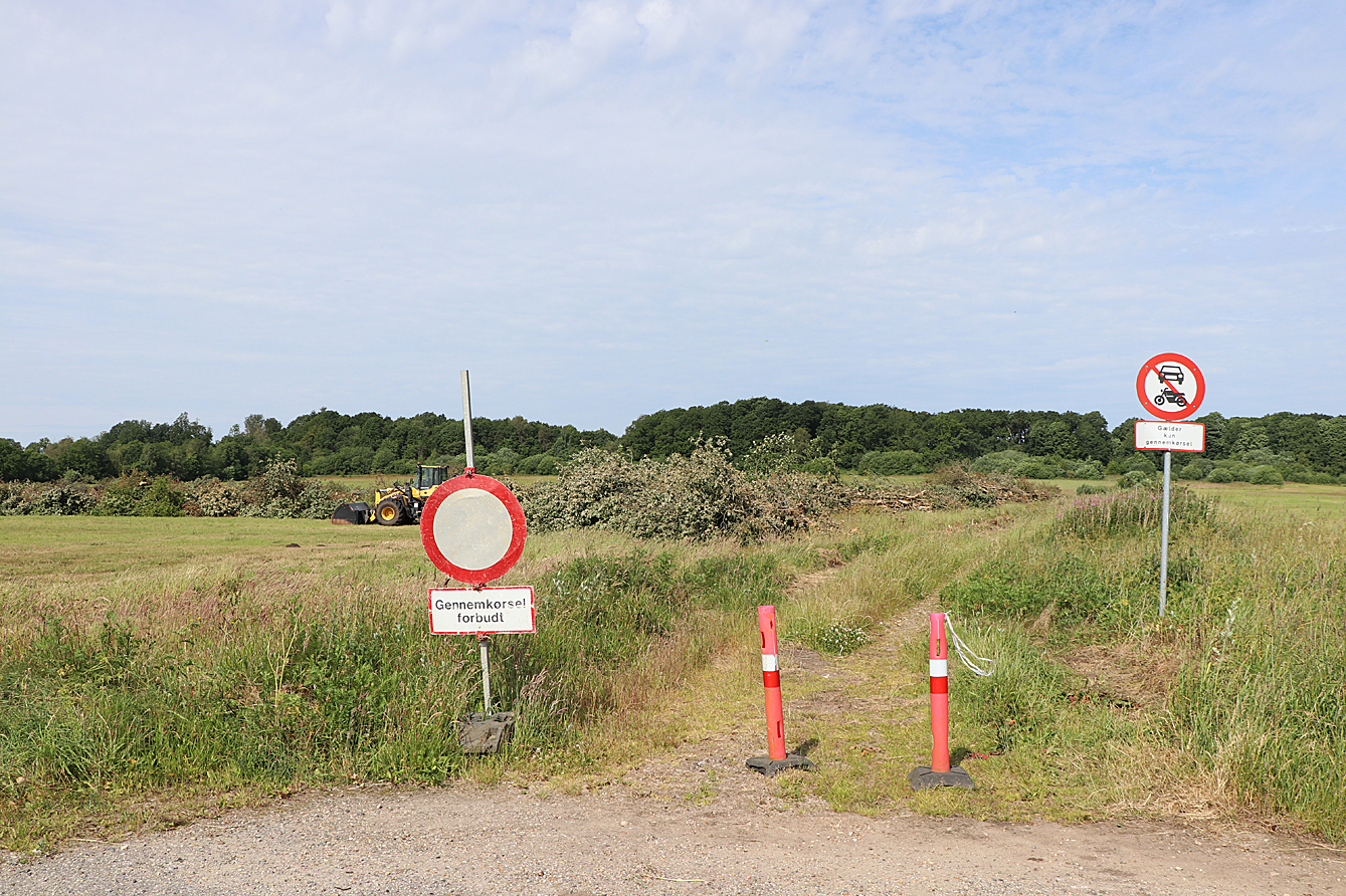 Den gyldne middelvej